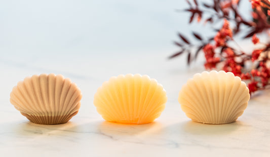 A Set of Shell Soaps